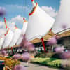 Ashford tents