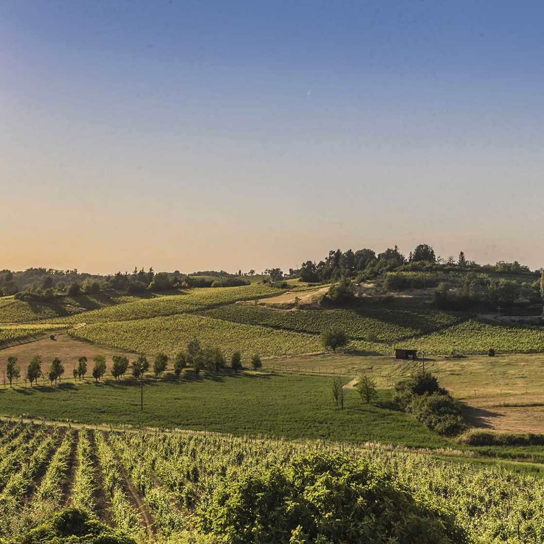 Gavi Hills, Serravalle