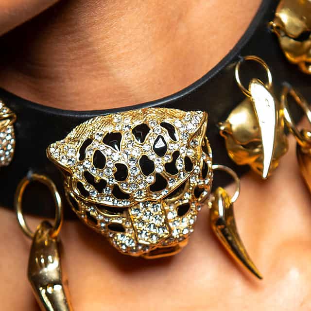 Roberto Cavalli_jewellery on the neck
