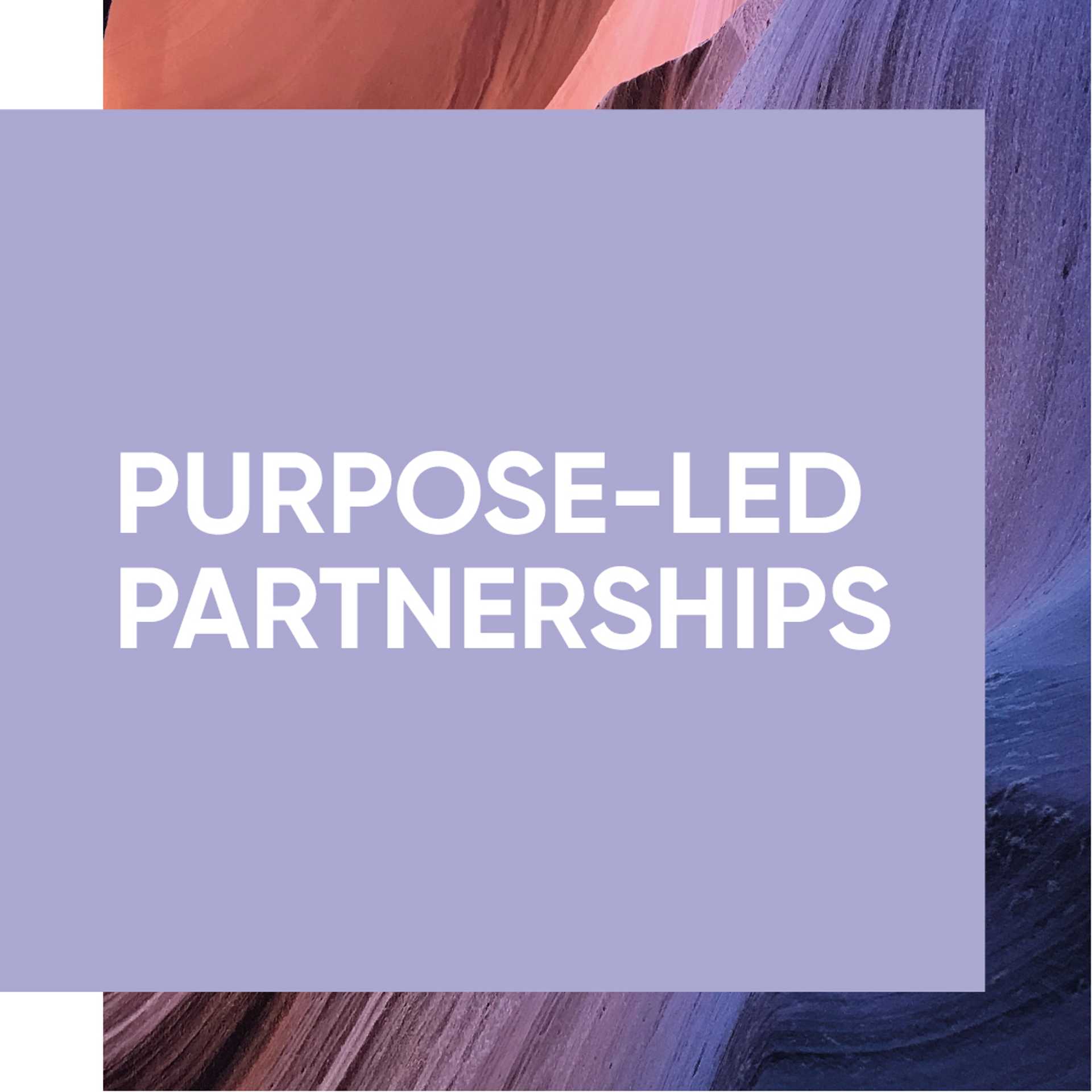 'Purpose-Led Partnerships' text applied on top of a desert rock formation
