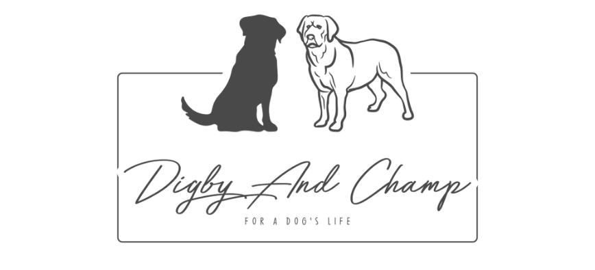 Digby and Champ