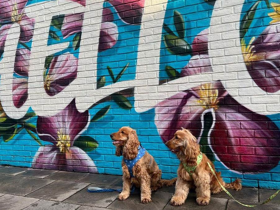 Dog Friendly Stores & Restaurants | Cheshire Oaks Designer Outlet