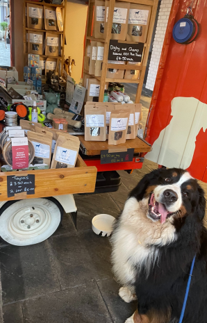 item.ImageAlternativeTextWithFallback