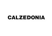 Brand logo for Calzedonia /