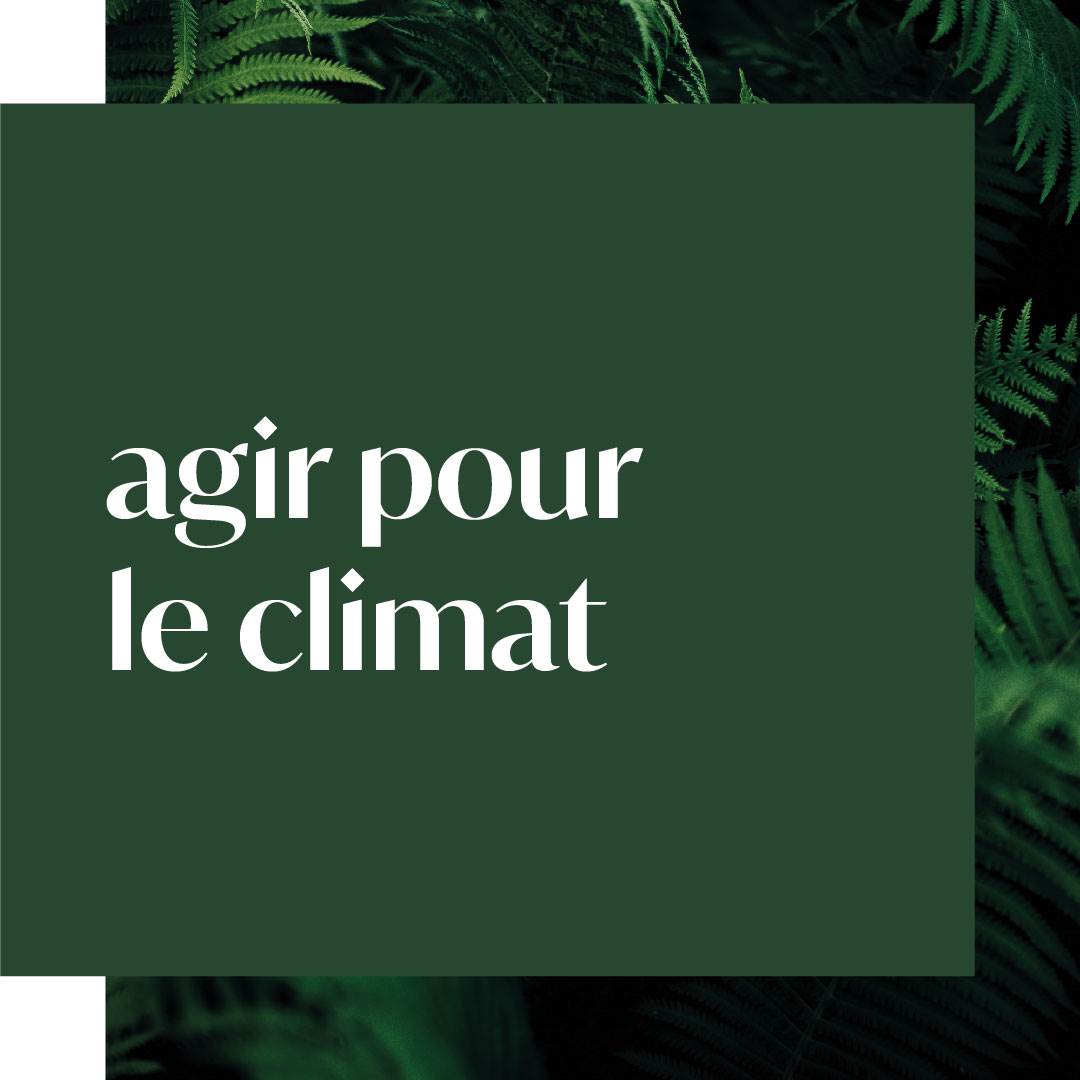 evolve_sustainability_ourimpact