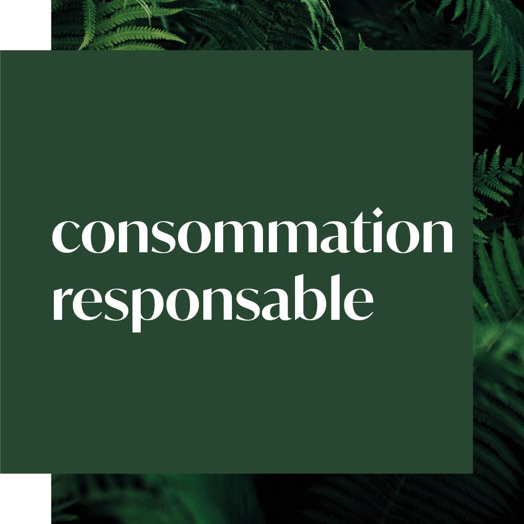 evolve_sustainability_ourimpact