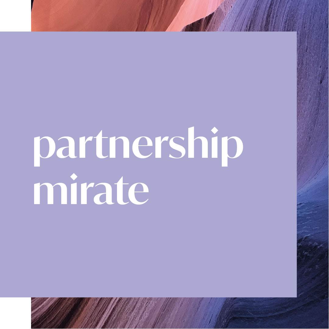 evolve_ourfoundations_partnerships